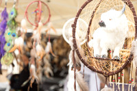 Pasadena_Pow_Wow-006