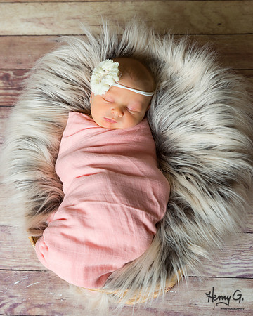 Madelyn_Newborn-1