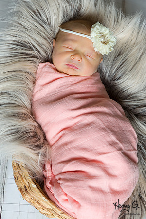 Madelyn_Newborn-2